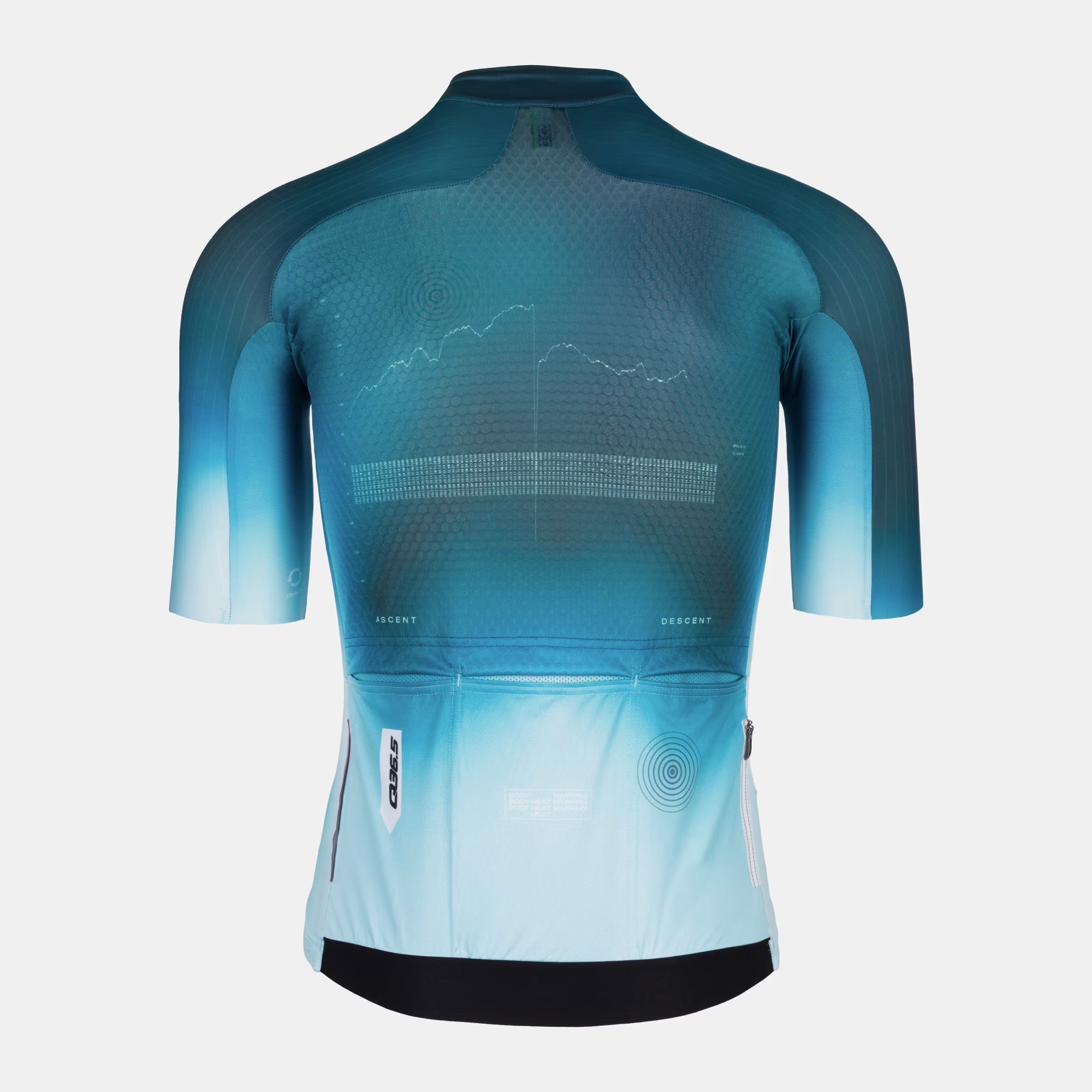 Q36.5 Gregarius Pro QLAB Jersey - Men's - Green shown from back with gradient blue design and rear pockets visible