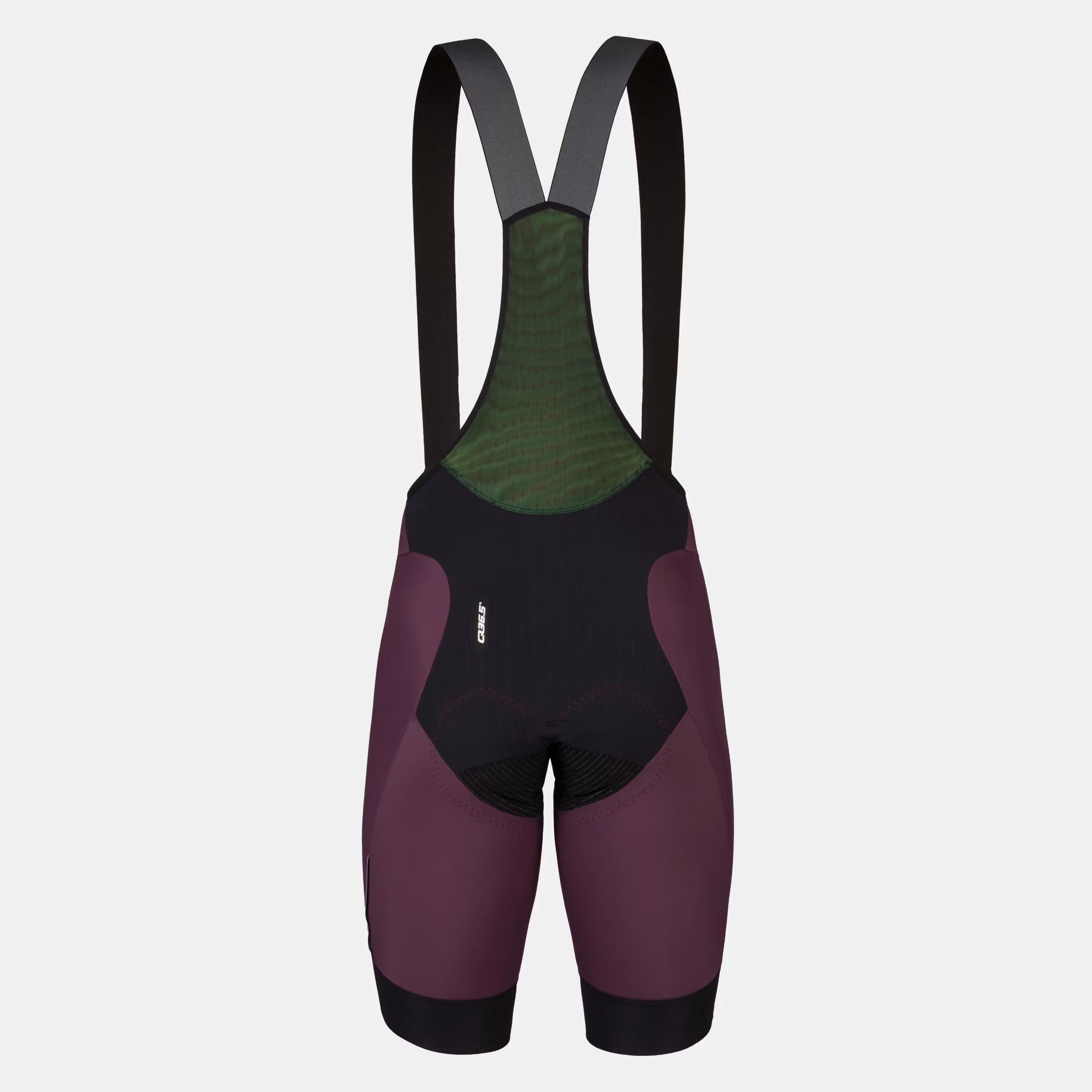 Q36.5 Gregarius Pro Bib Shorts Mod24 - Men's - Langhe Red back view showing mesh upper and padded chamois for cycling comfort