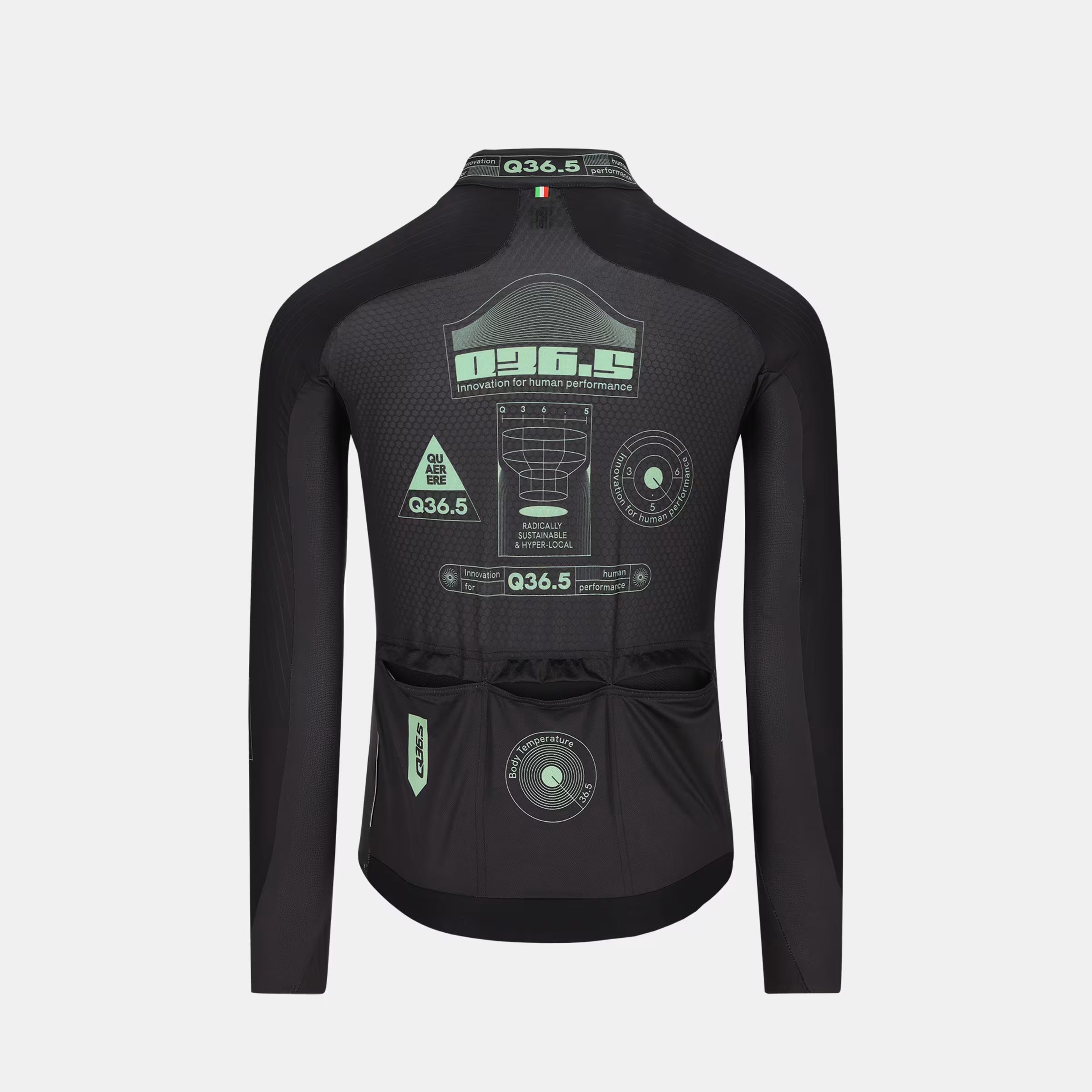 Back view of Q36.5 Gregarius Hybrid Light Retrofuture Long Sleeve Jersey - Men's - Black with graphic details and rear pockets