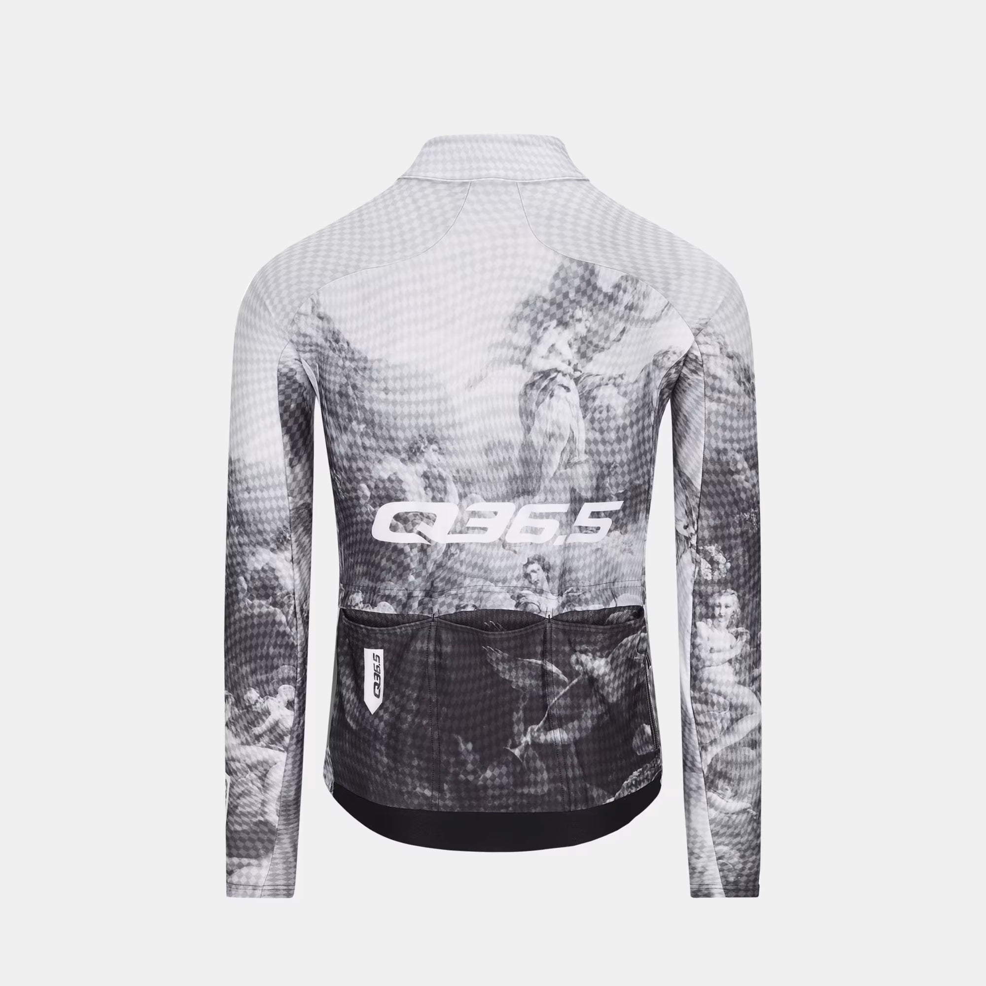 Back view of Q36.5 Gregarius Hybrid Fresco Long Sleeve Jersey - Men's - Fresco with black and white graphic design